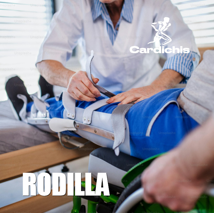 Rodilla